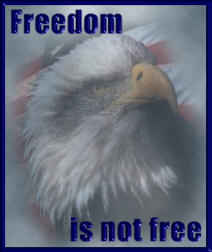 Freedom Is Not Free